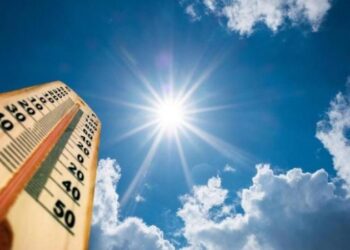 الطقس غدا.. مائل للحرارة نهارا وشبورة صباحا