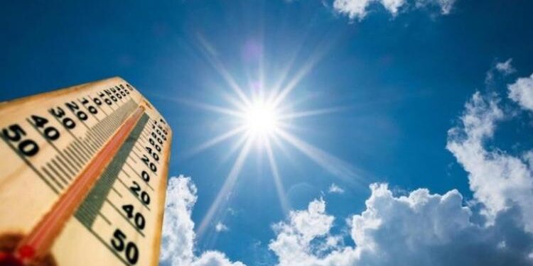 الطقس غدا.. مائل للحرارة نهارا وشبورة صباحا