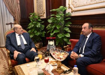 رئيس مجلس الشيوخ يستقبل وزير قطاع الأعمال العام