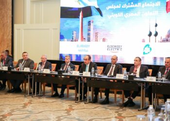 وزير قطاع الأعمال العام يترأس الاجتماع المشترك لمجلس التعاون المصري الكويتي