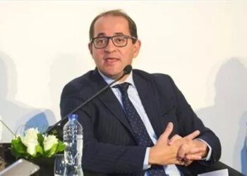 وزير المالية: الاقتصاد المصرى بدأ يحقق مؤشرات أفضل