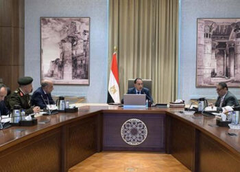 رئيس الوزراء يتابع الموقف التنفيذي لمشروعات المرافق المختلفة لـ “الدلتا الجديدة”