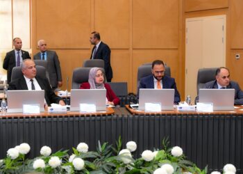 وزيرا الكهرباء والبيئة يبحثان سبل العمل المشترك في قضايا البيئة والطاقات المتجددة