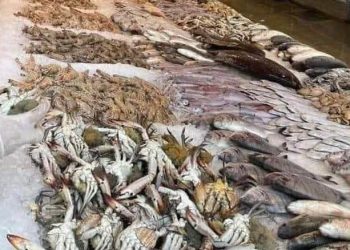 أسعار اللحوم الحمراء اليوم الأحد