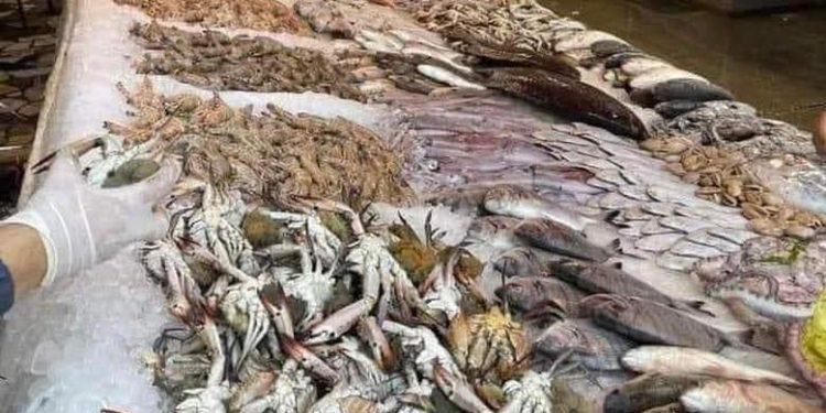 أسعار اللحوم الحمراء اليوم الأحد