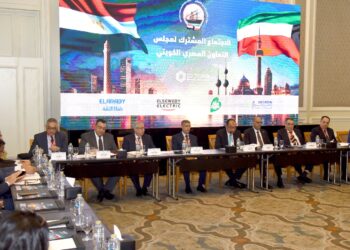 حسام هيبة: سنشهد طفرة في تدفقات الاستثمار مع استبدال الرسوم الحكومية بضريبة إضافية موحدة