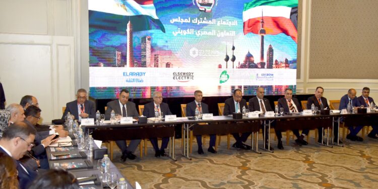 حسام هيبة: سنشهد طفرة في تدفقات الاستثمار مع استبدال الرسوم الحكومية بضريبة إضافية موحدة