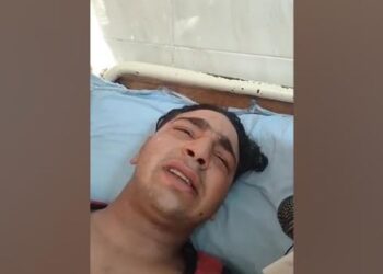 ضحية نمر سيرك طنطا: الحيوانات كانت جائعة منذ 10 رمضان