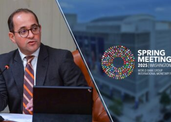 وزير المالية..  التغيرات المقبلة في التجارة العالمية.. تجعل أفريقيا «وجهة مثالية» للاستثمارات الأجنبية المباشرة