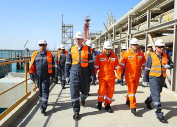 وزير البترول يتفقد محطة “سونكر” للصب السائل بميناء السخنة