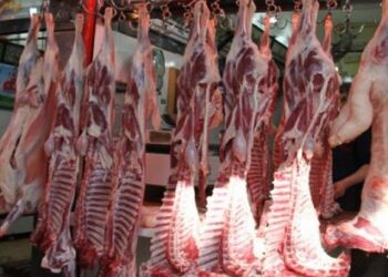 أسعار اللحوم الحمراء اليوم الأربعاء