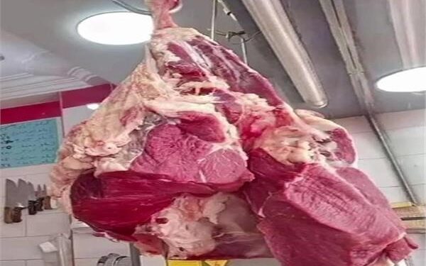 أسعار اللحوم الحمراء اليوم الأربعاء