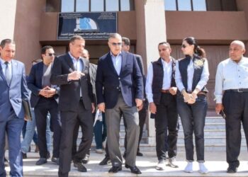 وزير الزراعة ومحافظ الإسكندرية يبحثان التعاون في رفع كافة الأصول