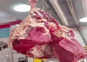 اللحوم البلدي