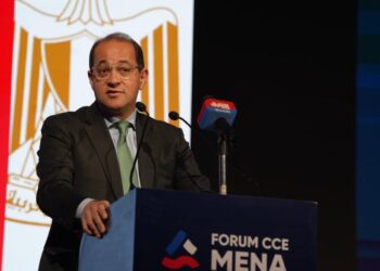 وزير المالية