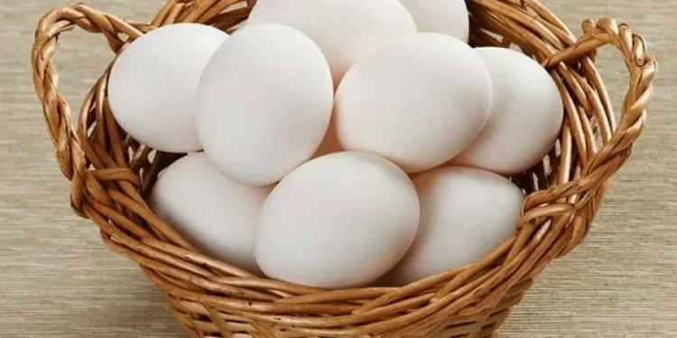 سعر البيض اليوم سعر البيض اليوم