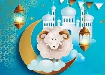 مع اقتراب عيد الأضحى 2025.. ارتفاع اهتمام المواطنين بأسعار الأضاحي