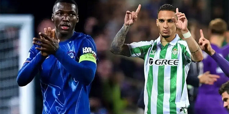 تشيلسي يتحدى ريال بيتيس في نهائي دوري المؤتمر الأوروبي الليلة