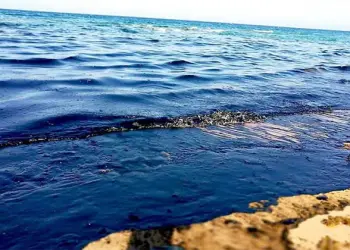وزيرة البيئة توجه باتخاذ الإجراءات العاجلة لاحتواء تلوث بترولي قرب مدينة أبورديس