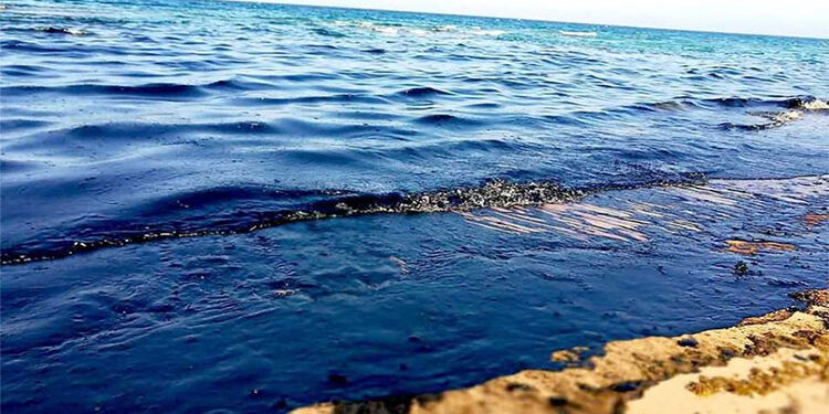 وزيرة البيئة توجه باتخاذ الإجراءات العاجلة لاحتواء تلوث بترولي قرب مدينة أبورديس