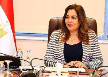 وزيرة التنمية