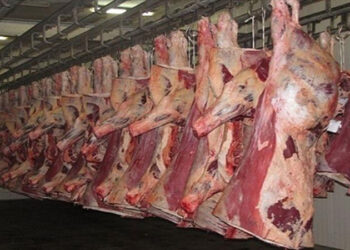 أسعار اللحوم الحمراء اليوم الإثنين
