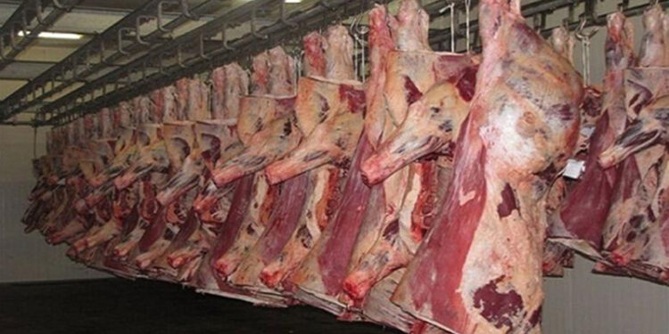 أسعار اللحوم الحمراء اليوم الإثنين