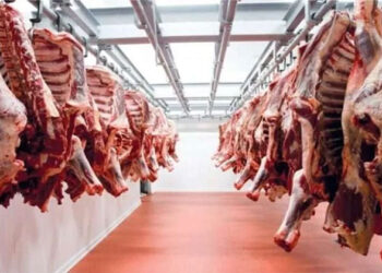 أسعار اللحوم الحمراء اليوم الأربعاء