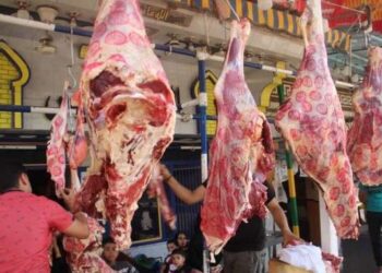 أسعار اللحوم الحمراء اليوم الإثنين
