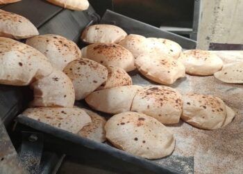 وزير التموين يصدر توجيها وزاريا بشأن تنظيم المخابز خلال عطلة عيد الأضحى