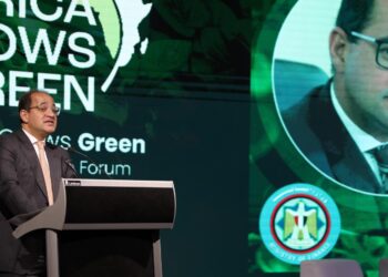 وزير المالية:الرهان العملى والأنجح على القطاع الخاص فى سد الفجوة التمويلية بين قدراتنا وأحلامنا