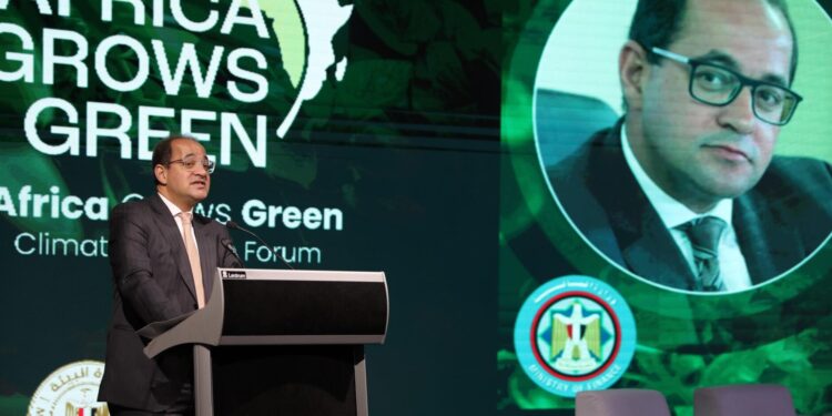 وزير المالية:الرهان العملى والأنجح على القطاع الخاص فى سد الفجوة التمويلية بين قدراتنا وأحلامنا