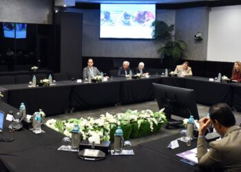 الهيئة العامة للاستثمار والمناطق الحرة تبحث سبل دعم الشركات المصرية للمشاركة في مناقصات “الفاو”