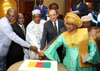 وزير قطاع الأعمال العام يشارك في احتفال سفارة الكاميرون بالقاهرة بالعيد الوطني