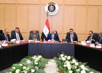 كامل الوزير