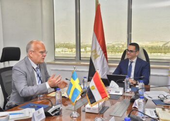 وزير الاستثمار