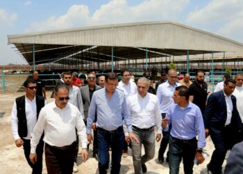 البنك الزراعي المصري يمول شراء 2000 رأس ماشية بقيمة 395 مليون جنيه لصالح  188 من صغار المربين بالشرقية