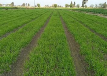 المركزي للحشائش ينظم دورة تدريبية حول التغيرات المناخية