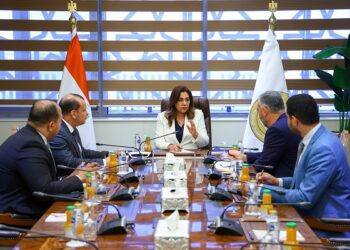 وزيرة التنمية