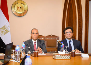 وزير الخارجية والهجرة يستقبل وزير الثقافة