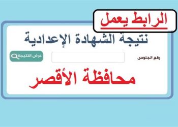 نتيجة الشهادة الإعدادية بالأقصر.. نسبة النجاح 78.81% وتكريم الأوائل في احتفالية كبرى الأسبوع المقبل