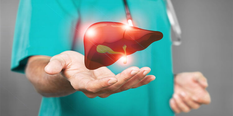 أطعمة تضر بصحة الكبد.. ابتعد عنها فورا