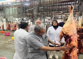 “الزراعة”: المجازر الحكومية استقبلت أكثر من 34 ألف أضحية في العيد بجميع المحافظات