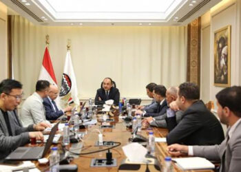 وزير قطاع الأعمال يلتقي وفدًا من “Global SAE-A” الكورية لبحث فرص التعاون