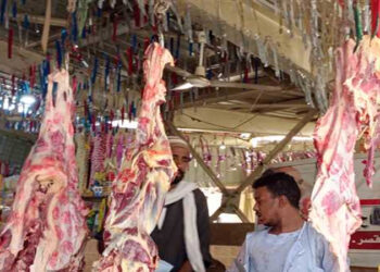 أسعار اللحوم الحمراء اليوم الثلاثاء