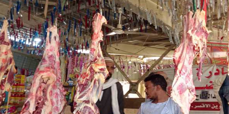 أسعار اللحوم الحمراء اليوم الثلاثاء
