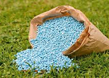 وزارة الزراعة: الأسمدة متوفرة بالجمعيات الزراعية واستمرار الصرف وفقًا لمنظومة كارت الفلاح