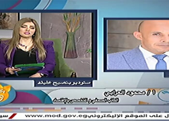 محمود العربي: مصر واجهت الأزمات بحكمة.. وأرصدة السلع آمنة.. ومبادرات الدولة خففت العبء عن ملايين المواطنين