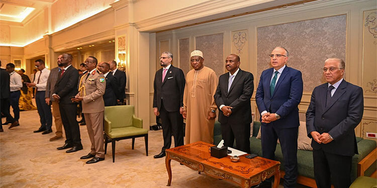 وزير الري يشارك في الاحتفال بالذكرى الثامنة والأربعين لاستقلال جمهورية جيبوتي