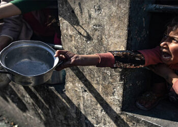 مقرر أممي معني بالحق في الغذاء: إسرائيل تستدرج الفلسطينيين للمساعدات في غزة ثم تقتلهم كالحيوانات